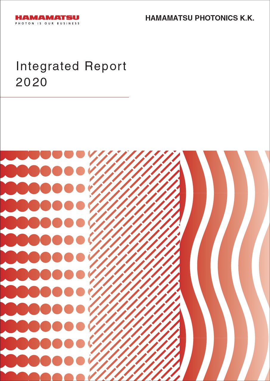 Integrated Report 2020 A4 for print